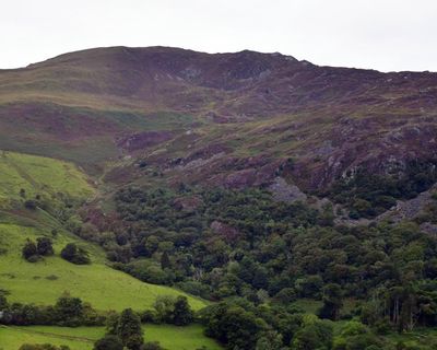 Country diary: Deep purple and fallen leaves at this mighty mountain