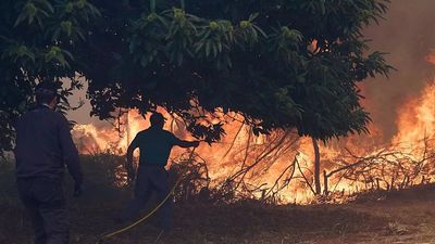 Unions warn of ‘woefully low’ firefighter numbers as EU faces record wildfires