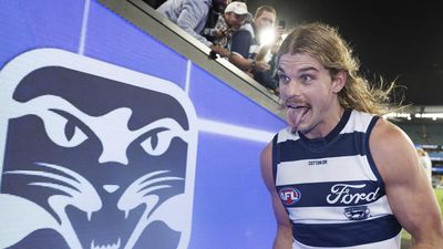 Headbutting walls, honesty part of Cat's unique appeal