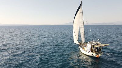 Meet the experts sailing to 26 Greek islands to protect endangered Mediterranean monk seals