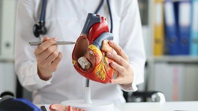 Common heart attack drug has no benefits and may raise death risk for women, major study finds