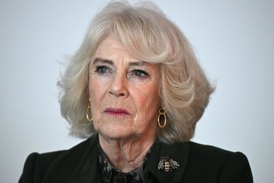 Camilla fought off indecent assault attacker with her shoe, book reveals