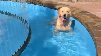 Kirk Herbstreit’s Dog Seen Living His Best Life at UNC Before Bill Belichick’s Debut