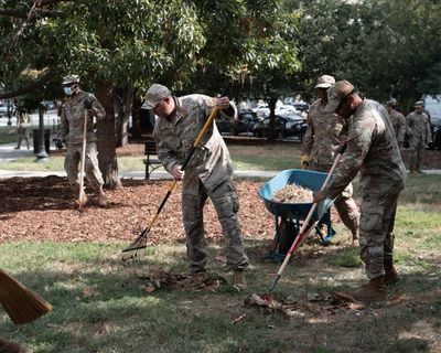 Soldiers are doing landscaping in DC parks. I’m thrilled for them