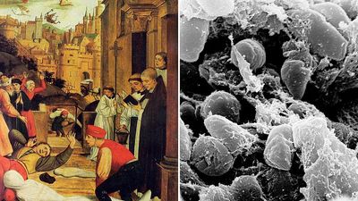 History's first pandemic: Ancient DNA solves mystery of what caused 1,500-year-old epidemic