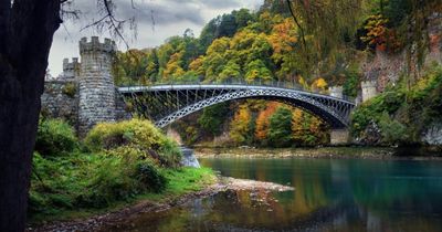 Scotch whisky distilleries hit with curbs as water levels 'critically low'