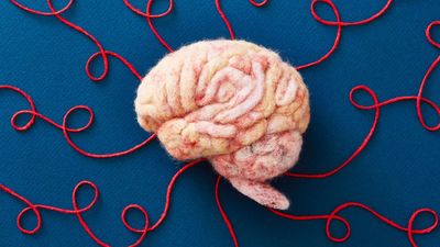 I’m a neuroscientist - these are the 9 simple ways I care for my brain every day