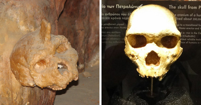 Mysterious ‘Petralona Man’ Skull Found In Cave 60 Years Ago Baffles Experts After New Study
