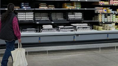 Groceries in Portugal are €17 more expensive than a year ago, eggs see the steepest price hike