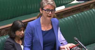 Yvette Cooper slated for 'pandering to Reform' with asylum overhaul