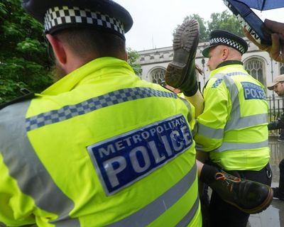 Woman, 81, among latest people charged over Palestine Action protests