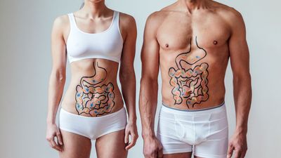 The key to being a better athlete may lie in your gut