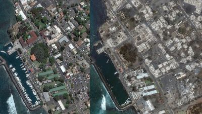 Official death count of 2023 Hawaii wildfires doesn’t capture true toll, study suggests