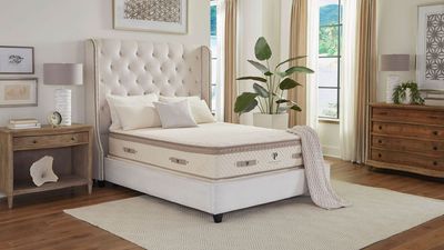 'It's a contender for the title of best mattress' – there's 53% off this customizable, toxin-free mattress in the PlushBeds sale