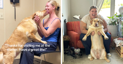 This New Trend Has People Sharing Their Tearjerking Pet Adoption Stories And These 50 Made Us Cry