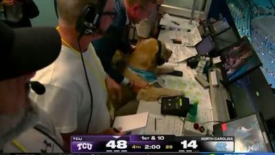Kirk Herbstreit's Dog Stole the Show Late Into Bill Belichick's Lackluster UNC Debut