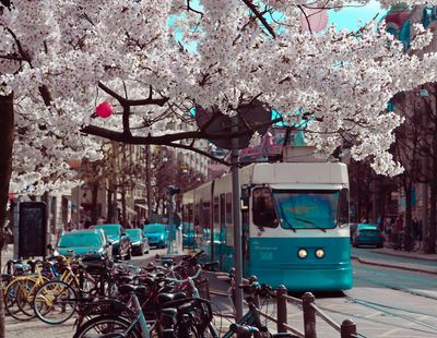 Gothenburg: Where to eat, drink and shop in Sweden’s charming second city