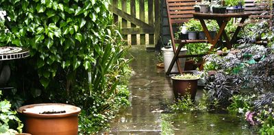 A warm, wet spring means more mozzies. How to protect yourself from the diseases they spread