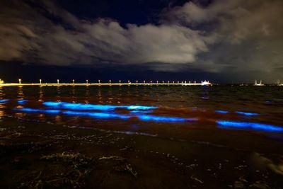 ‘Cosmic’ bioluminescent algae lights up Melbourne’s St Kilda beach