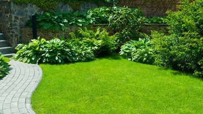 Garden expert says this one task will create a thicker and greener lawn — and September is the perfect month to do it