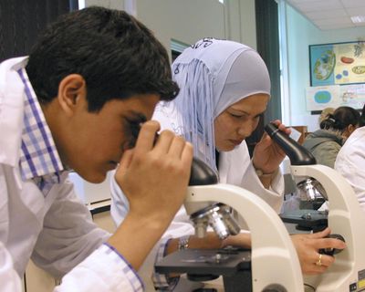 Quarter of schools in England lack a physics teacher, analysis finds