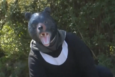 Japan makes it easier for people to shoot bears