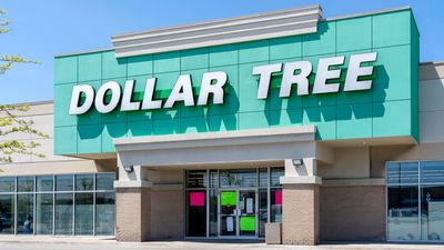5 Best Dollar Tree Kitchen Essentials for Fall To Buy Now
