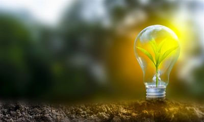 3 Renewable Energy Stocks That Could Gush as Oil Stays Volatile