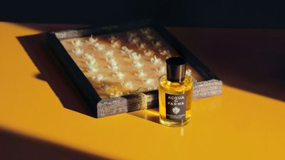 New Acqua di Parma fragrance celebrates the art of taking your time