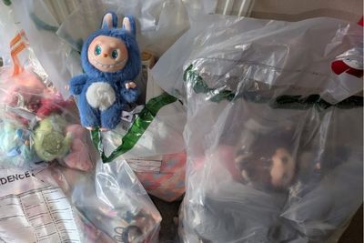 Surge in counterfeit Labubu dolls 'serious safety risk to children' after hundreds seized in south London