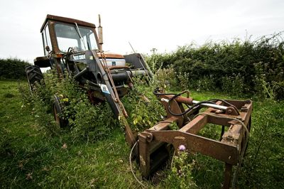 8 Lawn Equipment Mistakes That Destroy Your Yard’s Value