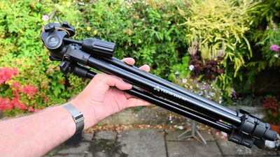 Vanguard Vesta 203AP tripod review: a remarkably inexpensive tripod kit, complete with 3-way pan head