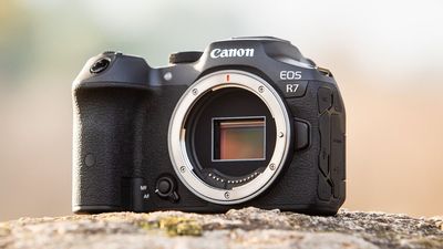 We finally have a hint at the Canon EOS R7 Mark II release date