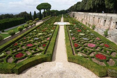 Vatican puts Pope Francis' ecological preaching into practice with vocational farm center