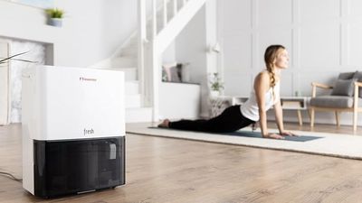 3 reasons why autumn is the perfect time to invest in a dehumidifier