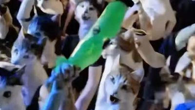 No cats were harmed in the making of Will Smith's AI controversy response