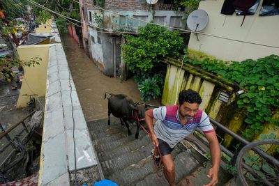 Photos of New Delhi residents on the swollen banks of the Yamuna River