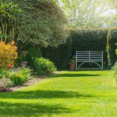 My lawn was frazzled by the hot summer, but these are the 5 autumn lawncare tips I'm using to revive it