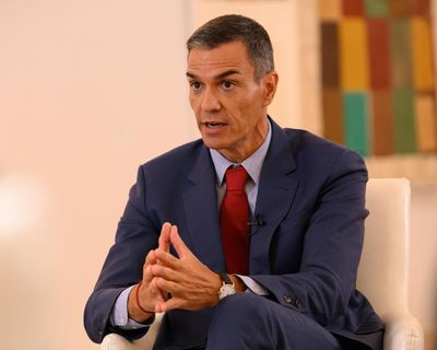 ‘You need solidarity and consistency’: Pedro Sánchez on the EU, Trump and fighting the far right