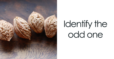 25 Odd-One-Out Questions Only True Visual Thinkers Can Ace – Prove You’re One Of Them