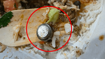 QLD Woman Left ‘Panicking’ After Finding A Battery In Her Guzman Y Gomez Meal
