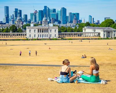 This was the hottest summer on record. If it happens again next year, Britain’s ecosystems won’t cope