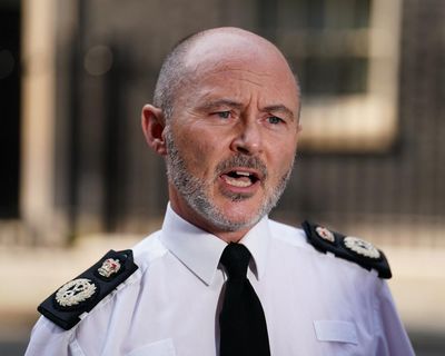 UK politicians must stop stoking division, says policing chief