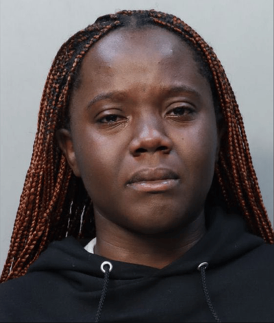 British woman who 'grabbed crying boy, 4, from mother and refused to let go' at US airport arrested