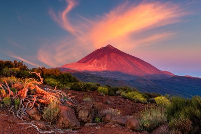 Tenerife tourists warned as island prepares to activate largest ever volcano drill