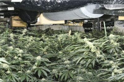 Albanian trio jailed for running ‘industrial scale’ cannabis farm