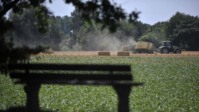 France told to revisit pesticide rules in 'historic win' for green groups