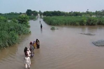 Pakistan floods: Emergency workers use drones to rescue people stranded on rooftops