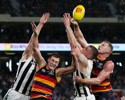 Added spice ensures Adelaide-Collingwood rivalry reaches boiling point in AFL finals