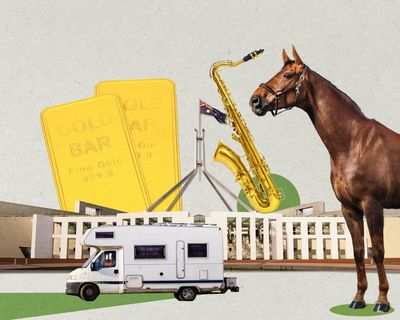 Gold bullion, racehorses and a saxophone: the strangest assets declared by Canberra’s new parliament